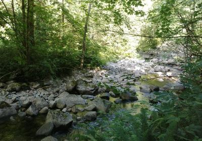 Holland Creek Hiking Trails