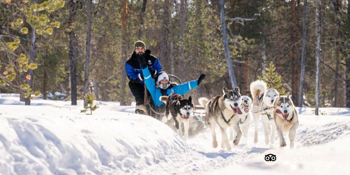 Husky & Co