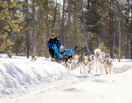 哈士奇雪橇之旅