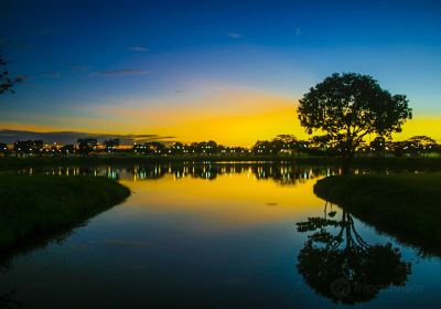 Teresina