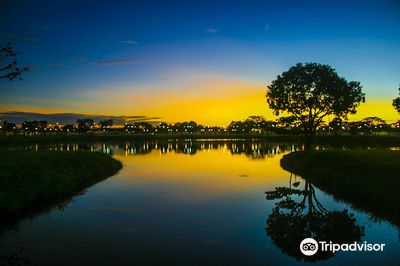 North Ponds Park