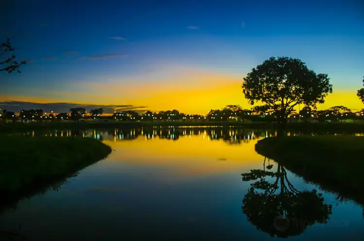 Hotels near North Ponds Park