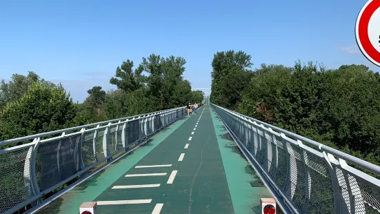 Freedom Cycle Bridge