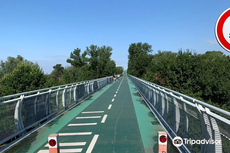 Freedom Cycle Bridge