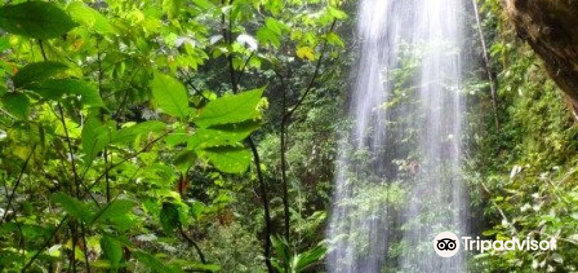 Things to Do in Langkat Regency in 2024 Top Attractions, Local Food