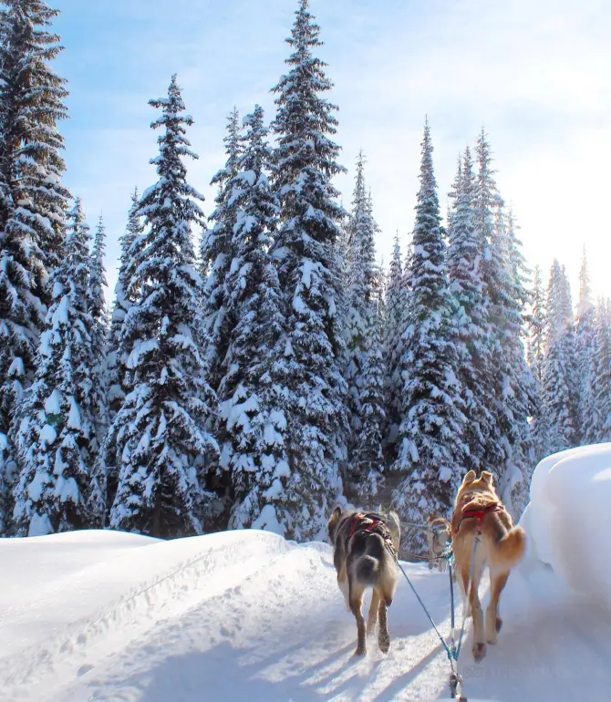 Sun Peaks
