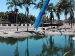 Agatha Crocodile Ranch