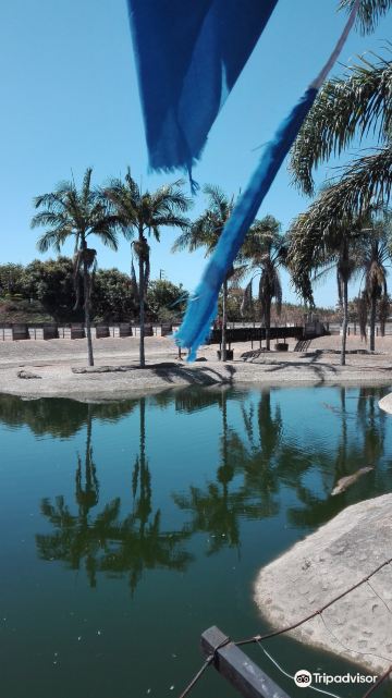 Agatha Crocodile Ranch