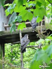 Shubenacadie Provincial Wildlife Park