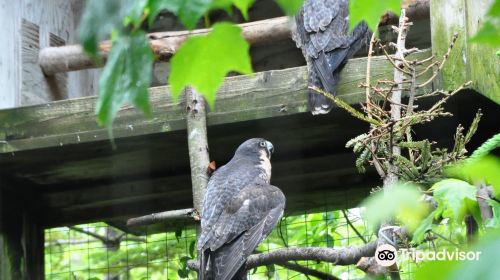 Shubenacadie Provincial Wildlife Park