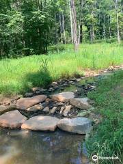 Reedy Creek Nature Center