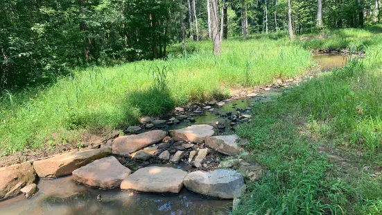 Reedy Creek Nature Center