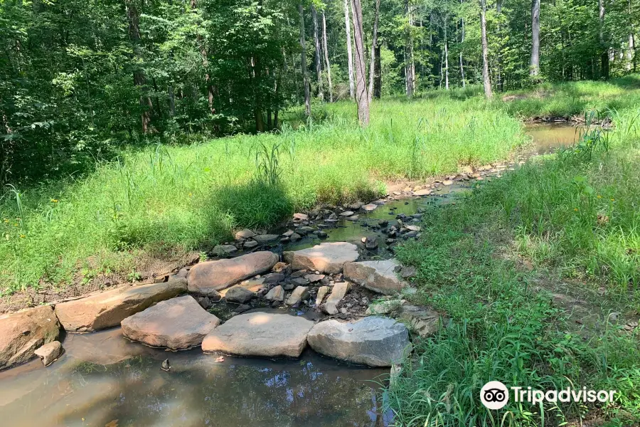 Reedy Creek Nature Center and Preserve