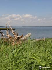 AC Waterfront Sculpture Walk