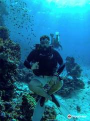 Manta Ray Dive Hurghada