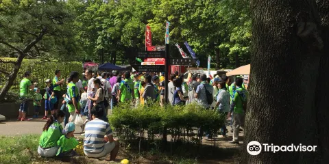 平塚市総合公園