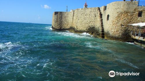 Citadel of Acre