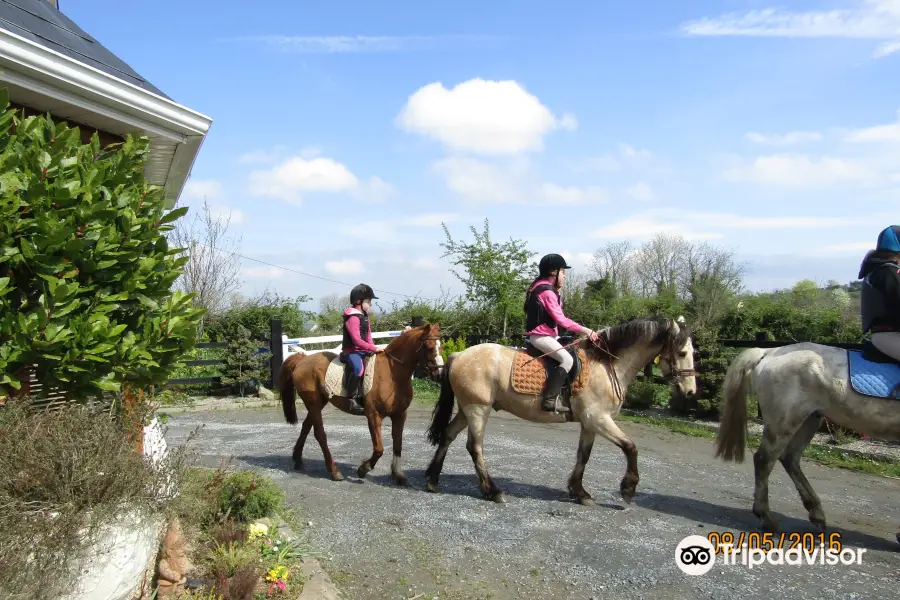 Boskill equestrian/Trekking Homestay