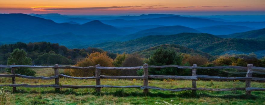 Max Patch