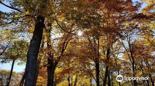 Haliburton Skyline Park