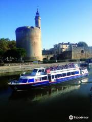 Iris - Croisiere En Camargue