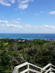 Tamagusukujo Castle Ruins