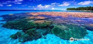 Nauru Island to Majuro Flights
