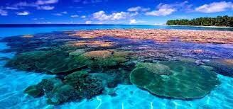 Bokolap Island