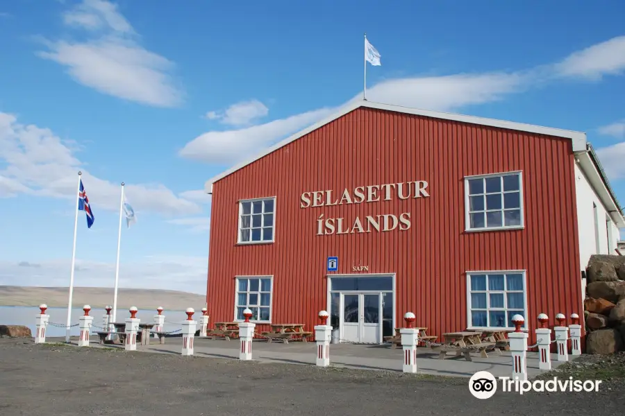 Icelandic Seal Center