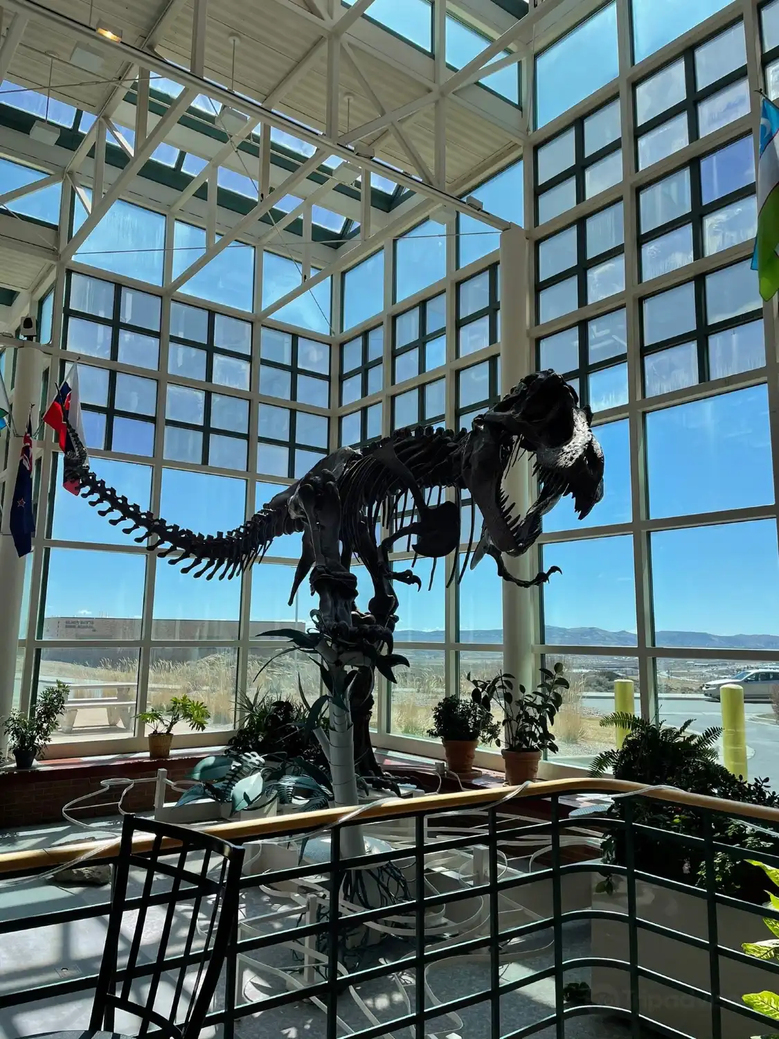 Hotels near Western Wyoming Community College