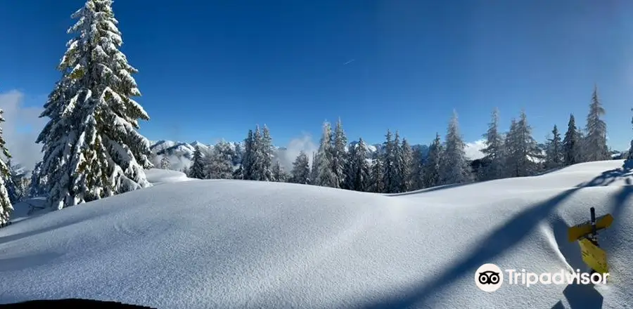 Salzburg Snow Shuttle