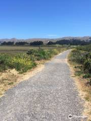 Birdwalk Coastal Access Trail