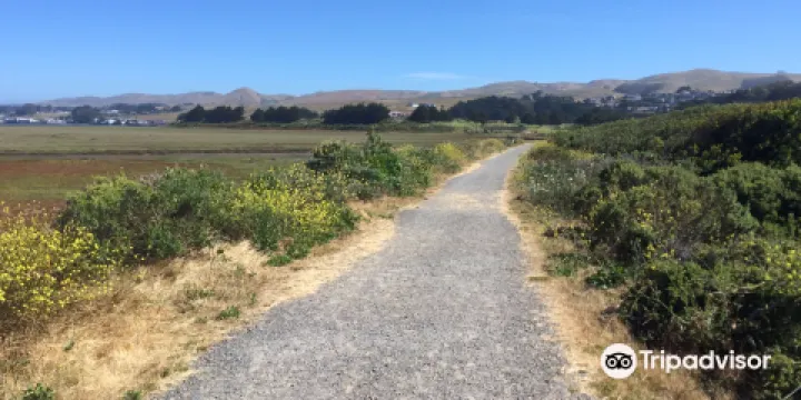 Bird Walk Coastal Access Trail