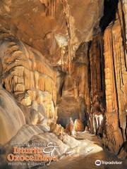 Höhlen von Isturitz und Oxocelhaya