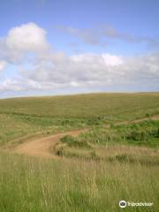 Agência de Ecoturismo Caminhos de Cima da Serra