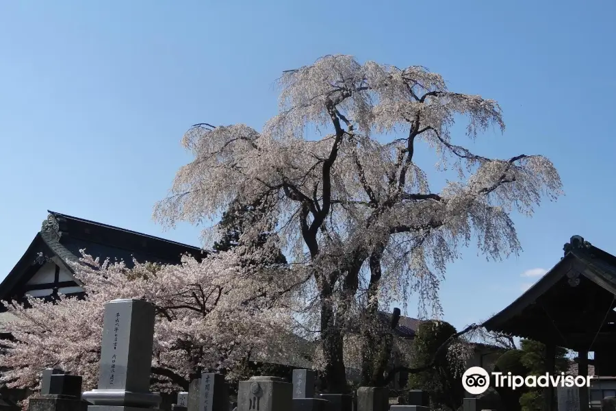 Myotokuji Temple