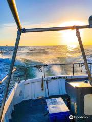 Paddlefish Adventure Newquay Fishing & Boat trips