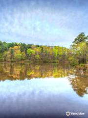 Turner Lake