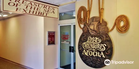 Treasures of the Sea