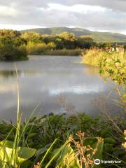 Indigena - Area Protegida de Flora y Fauna