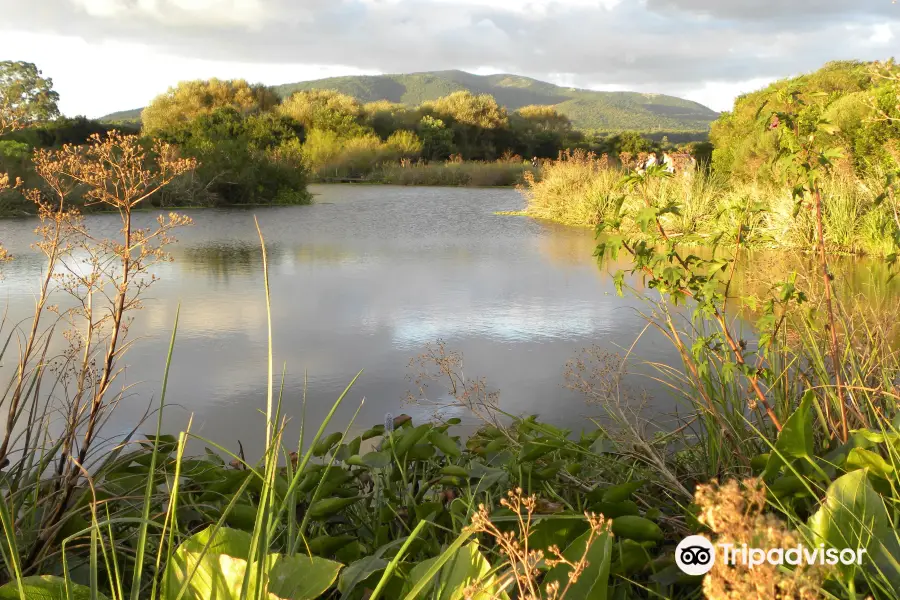 Indigena - Area Protegida de Flora y Fauna