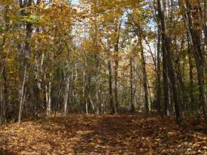 Harris Nature Center