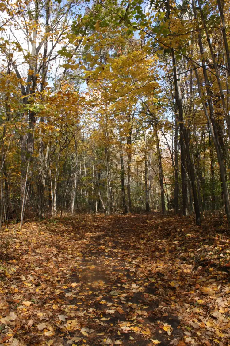 فنادق في Meridian charter Township