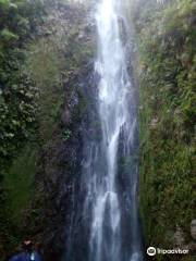 Taal Falls