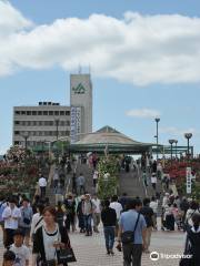 Midorimachi Park