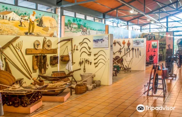 阿倫納利戴爾索爾