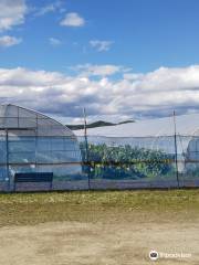 Makubetsu Strawberry Farm