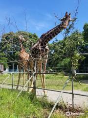 大牟田市動物園