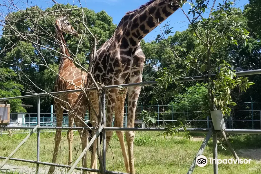 Omuta City Zoo