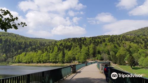 Lac de la Lauch